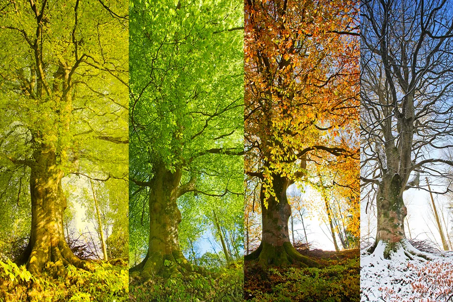 Why Do Growth Seasons Often Feel Uncomfortable First?