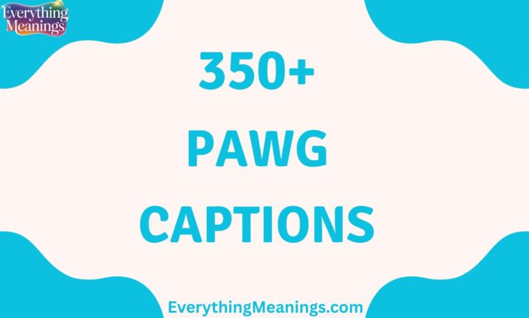 PAWG Captions