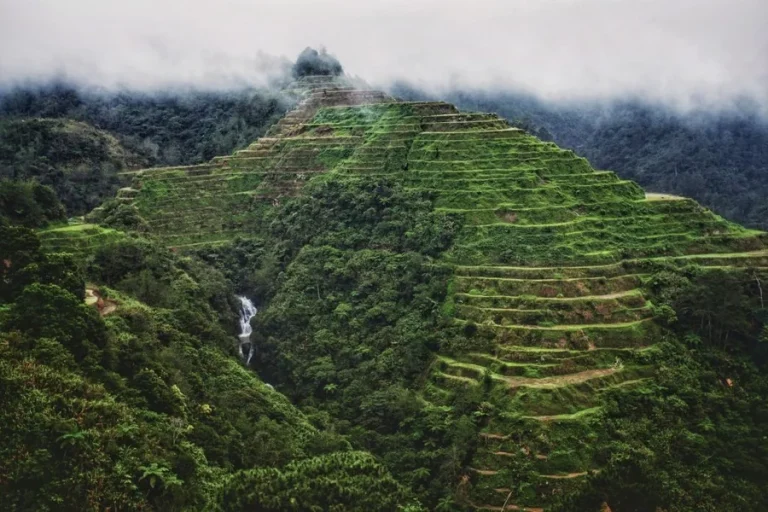 Culture Influences Our Daily Lives