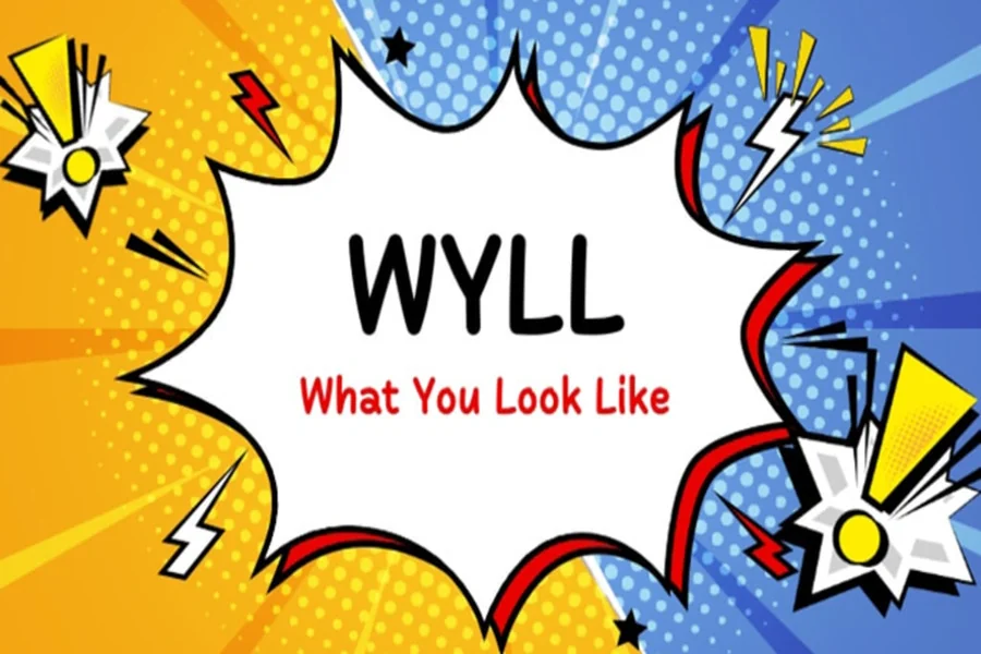 What Does Wyll Mean
